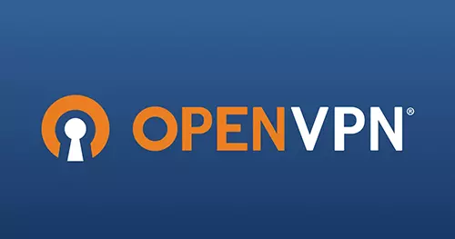 利用 OpenVPN 加速饥荒服务器